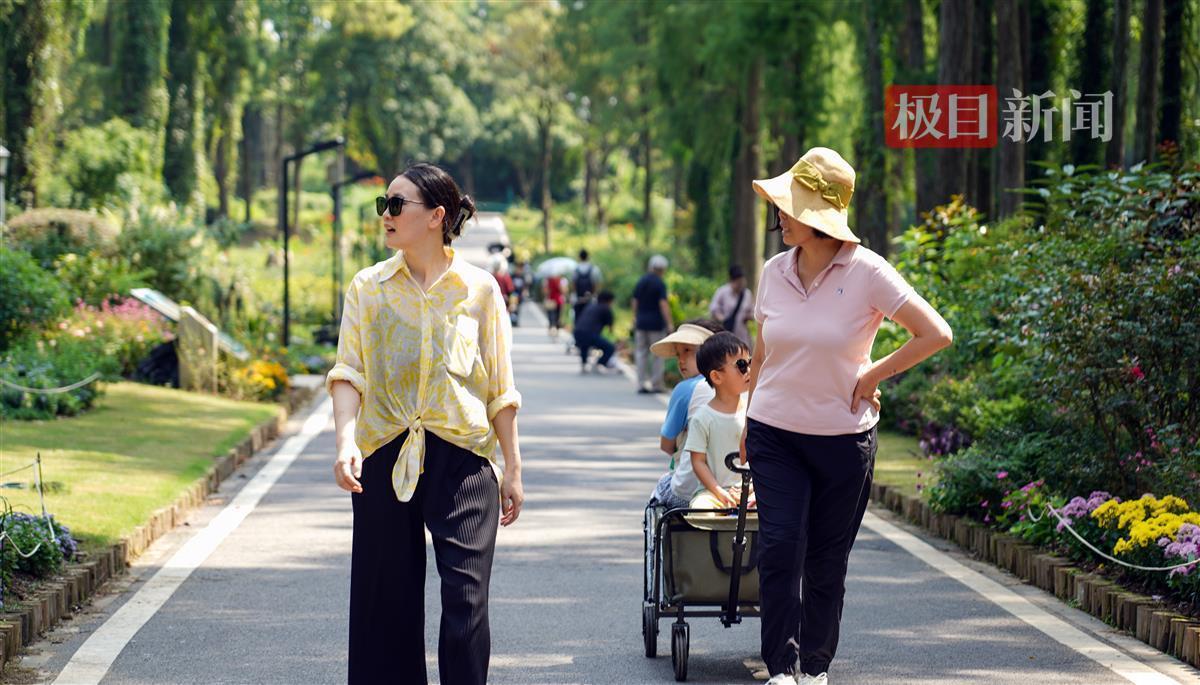博万通娱乐登录地址